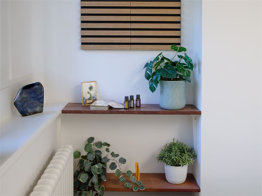Salle Océan : l'étagère, les plantes et le panneau acoustique en bois
